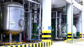 河源之光 新興能源技術研發(fā)領軍企業(yè)，產品遠銷歐非美洲