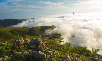 5.19中國旅游日“惠”游湖北 夏天來宜昌山林峽谷，一起漂流一起嗨！